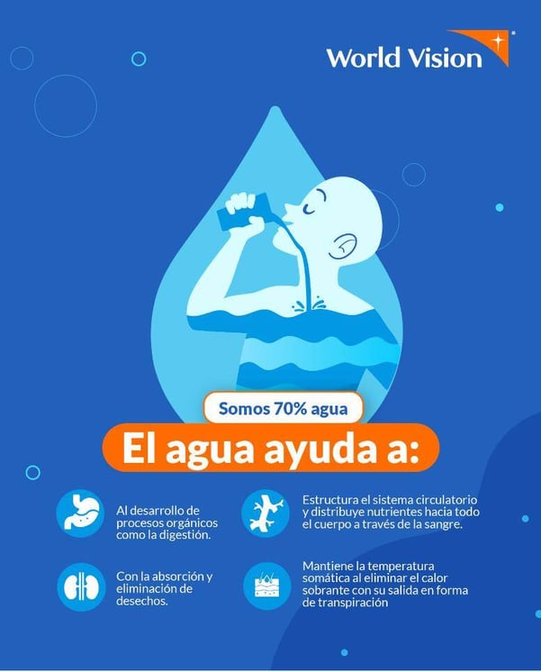 El agua y sus beneficios